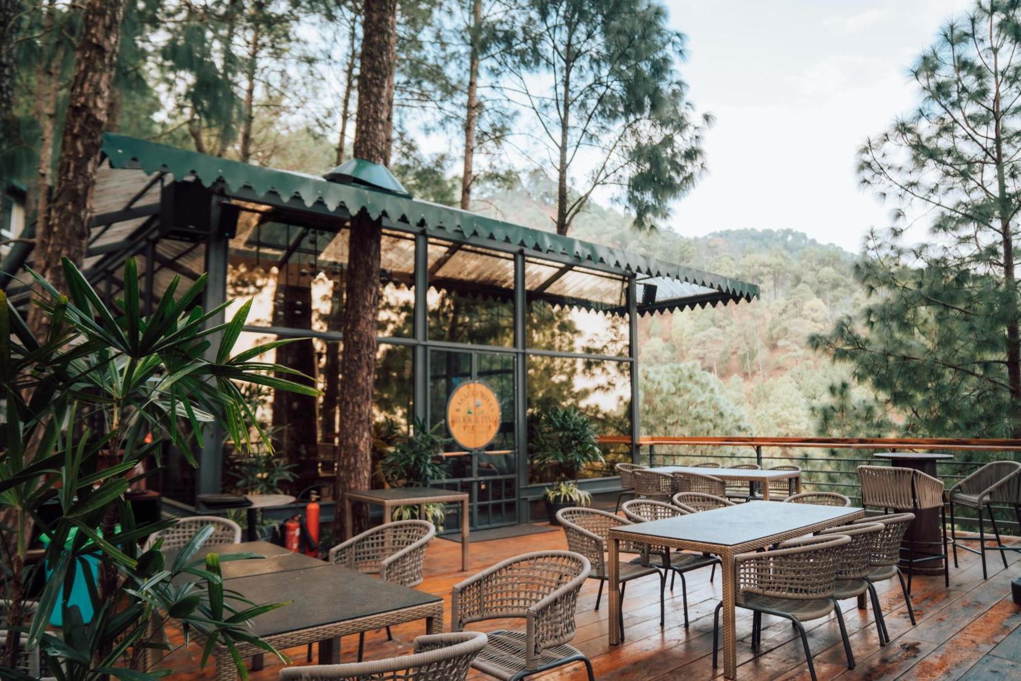 Kasauli Hills Resort Exterior photo